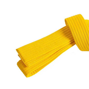 2024 ceinture de karaté multicolore sur mesure de haute qualité brodée avec son propre logo équipement d'arts martiaux à faible coût de grande valeur - Product Image 4