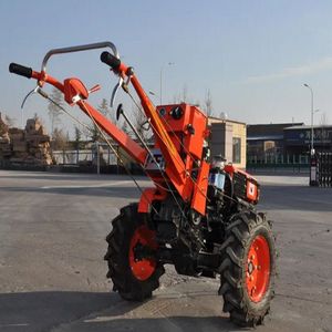 Mini Tractor agrícola de alta eficiencia 2WD, dos ruedas con núcleo, tal bomba, engranaje, motor, caja de cambios, rodamiento de Motor, disponible a granel - Product Image 6