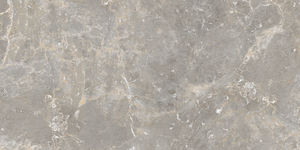 Azulejos de granito chino, baldosas de porcelana para estacionamiento de mármol italiano, fabricación en India para artículos de salud - Product Image 3