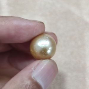 Perles de culture de haute qualité, 7-13 mm, grade A, en un seul lot, perles de mer dorées, dégagent une élégance intemporelle, une beauté naturelle et un charme luxueux. - Product Image 3