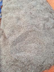 Semillas COIX vietnamitas al mejor precio en forma de polvo seco Producto alimenticio agrícola Premium - Product Image 3