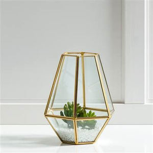 Design haut de gamme à des prix de gros Terrarium en verre transparent de forme cylindrique avec cadre en laiton fini or pour décorations de plantes de jardin - Product Image 6