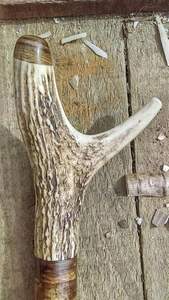 Mango usado Cuerno de búfalo Tamaño personalizado Cuerno de búfalo natural Mango de palo de vaca de color natural de la mejor calidad - Product Image 4