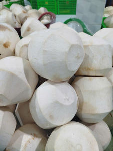 Coco joven fresco directo de Ben Tre Vietnam-Marca TECHMIFOOD 60 días de vida útil Carne y jugo de coco para el mercado de EE. UU. - Product Image 2