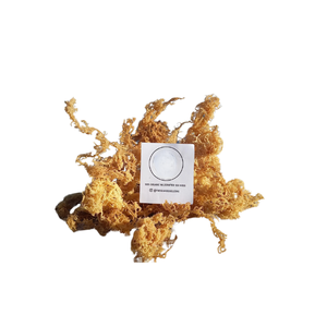 MEILLEUR FOURNISSEUR D'ALGUES D'EUCHEUMA COTTONII SÉCHÉES, DE MOUSSE DE MER D'OR ET DE MARQUE WILDCRAFTED DE MOUSSE IRLANDAISE EXPAD À BAS PRIX - Product Image 5