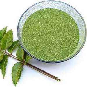 Polvo de Neem Profesional para Desodorizar el Pelo de Mascotas y Protección Natural Contra Pulgas para Perros - Product Image 1