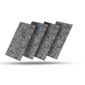 Venta caliente P White Ruff Granite con tamaño personalizado Piedra natural versátil y duradera Bulk P White Ruff Granite - Product Image 1