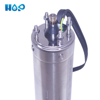 Pompes à eau submersibles pour puits 4SDM2/6 Pompe submersible pour puits profonds AC Pompe submersible pour puits profonds DC Irrigation