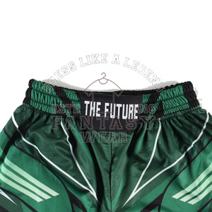 FANTASY WEAR 2026 Pantalones Cortos de MMA para Hombre de Secado Rápido al por Mayor, Tejido que Absorbe la Humedad para Entrenamientos, Certificación CE ISO - Product Image 4