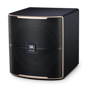 SHYNE NEW ORIGINAL PASION 12SP Subwoofer amplifié professionnel pour scène et home cinéma, haut-parleur de basses KTV de 12 pouces - Product Image 4