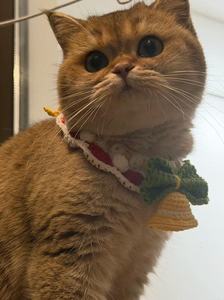 2025 cat <b>Winter</b> Crochet Pet Scarf Popular Pet Scarf Warm and Fashionable <b>Bell</b> Scarf - Product Image 6
