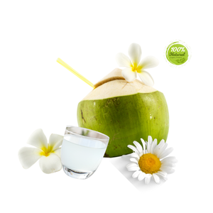 Agriculture 12 - 15 cm Eau douce Vietnam Qualité supérieure Fruit frais subtropical Semi-décortiqué Jeune noix de coco mûre - Product Image 5