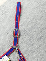 Ensemble de laisse et de harnais anglais en nylon réglable sur mesure pour chevaux, 2 mètres, écologique, logo personnalisé, qualité supérieure, robuste