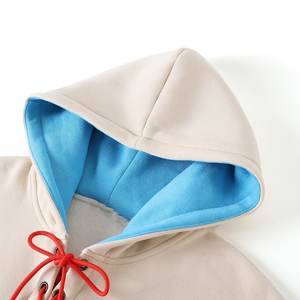 Delaware State Winter <b>Neutral</b> Hockey Hoodie Unisex Fleece Lined Chenille Embroidered Streetwear Pullover Lace-Up Hood 100% - Product Image 4