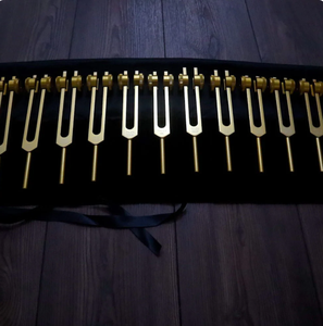 Juego de Diapasones Biofísicos Song of the Spine de 12 Piezas de Alta Calidad, Fabricados por Mars. - Product Image 5