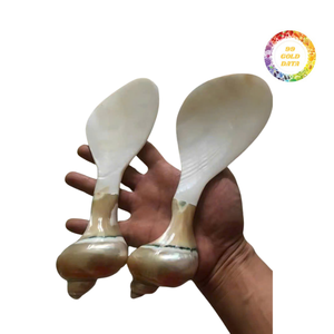 Cuillères en nacre lustrée pour améliorer vos créations culinaires - Product Image 3