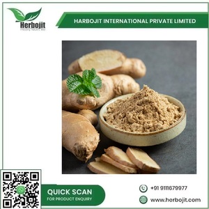 Meilleur prix Poudre de racine de gingembre biologique Légumes frais d'Inde Forte demande Stimulation énergétique et soutien du cœur - Product Image 5