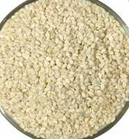 Graines de sésame de haute qualité d'origine indienne, pureté 98,5 %, teneur en huile 52 %, qualité A, emballage en sac PP de 50 kg, disponible pour l'exportation
