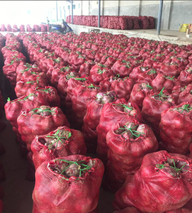 Cho Hành Tươi Xuất Khẩu Bóc Vỏ Hành Tây Trong Số Lượng Lớn Cạnh Tranh Bán Buôn Giá Vòng Mô Hình Mô Hình Số Đỏ Hành Tây - Product Image 3