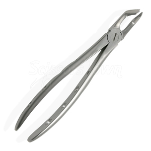 Fórceps de Extracción Dental de Acero Inoxidable de Alta Calidad, Instrumento para la Extracción Controlada de Dientes y Cirugía - Product Image 3