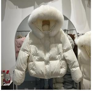 Puffy pilier col de fourrure à capuche manteaux de fourrure veste bouffante mode blanc canard doudounes femmes femmes hiver dames pardessus ample - Product Image 4