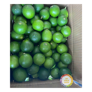 CITRONS FRAIS PREMIUM 100% NATURELS DE QUALITÉ SUPÉRIEURE ET DE BON PRIX Offre Spéciale DU VIETNAM - Product Image 3