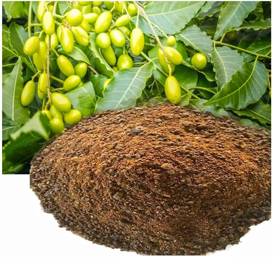 Alto NPK, un excelente fertilizante orgánico, polvo de pastel de neem, exportación mundial desde la India a un precio asequible