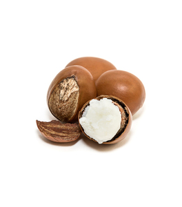 Nueces de karité disponibles a granel para las industrias cosméticas y de producción de aceite - Product Image 6