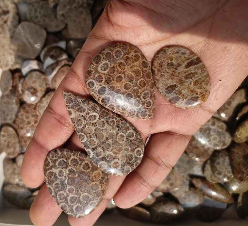 สีน้ำตาล