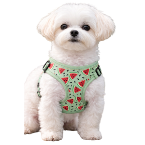 Arnés Ajustable para Perro con Diseño de Dibujos Animados, Chaleco Ligero Acolchado para Mascotas con Malla Transpirable - Product Image 4