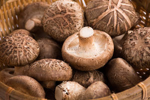 CHAMPIGNONS SHIITAKE SÉCHÉS ENTIÈRES ET TRANCHEÉS POUR LE MARCHÉ D'EXPORTATION - Product Image 3