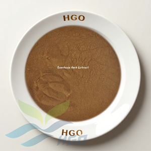 Suministro Directo de Fábrica de HGO de Extracto de Hierba de Boerhavia Pura y Natural, Especificación de Grado Alimenticio, Extracto en Proporción 5:1 10:1 20:1 - Product Image 1