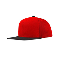 Gorras de Béisbol Snapback para Hombre, Nuevas, Económicas, a la Moda, Transpirables, con Logotipo/Colores Personalizados, Deportivas, de Lona, Ajustables