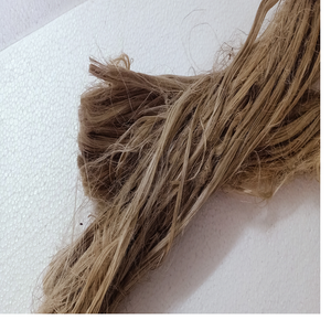 Fibre de lotus naturelle issue des tiges de lotus, idéale pour le filage textile et les applications industrielles - Product Image 1