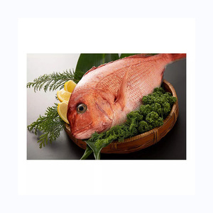 Poisson de dorade noire congelé de haute qualité Quantité individuelle et en vrac disponible - Product Image 6