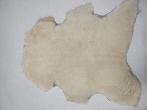 Premium Export Grade 2025 Kenyan Hides/Skins for Leather For Industry - Product Image 6