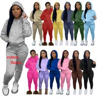 Conjunto de sudadera y pantalones de manga larga para mujer cómodo al por mayor, conjunto informal a juego para entrenamiento, deportes y fitness