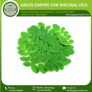 Vente chaude meilleure marque privée 100% huile de support de fenugrec pur disponible au prix de gros - Product Image 6