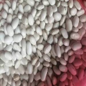 Haricots Blancs Égyptiens Purs Naturels Séchés et Nettoyés Fayoum Égypte Haute Qualité Lot en Gros AD Durée de Conservation 3 Ans 25kg - Product Image 1