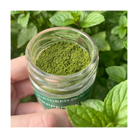 Poudre de menthe naturelle de qualité alimentaire séchée par atomisation Herbojit International 25 KG pour la cuisine – Nouvelle marque, additif séché de dernière génération