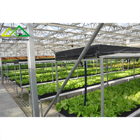 Système hydroponique commercial et kit de serre pour la culture de légumes et de fleurs à haut rendement