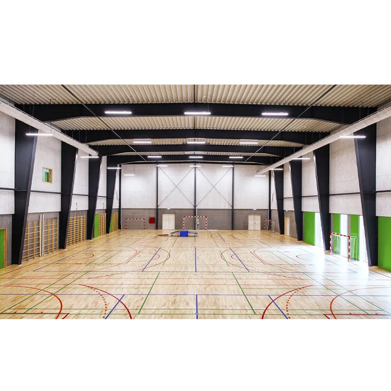 sport gym indoor soccer field structures badminton/basket court