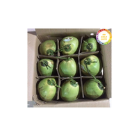 Premium Vietnam Vers Kokosnoot Natuurlijk Tropisch Fruit Voor Culinair Gebruik Sapdranken En Internationale Groothandel Exportaanbod