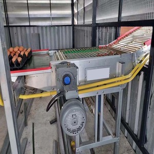 อุปกรณ์สำหรับสัตว์ปีกพื้นพลาสติกอุปกรณ์เลี้ยงสัตว์และสัตว์ปีก - Product Image 4