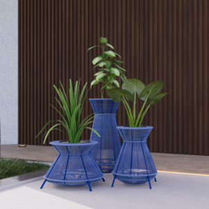 PLANTEUR (LCO/093/003) - Product Image 3