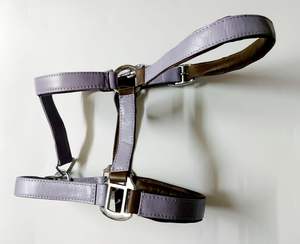 Serre-tête anatomique COLLIER SOL Confort Rembourré Show Clip Leather Headcollar Halter - Product Image 2