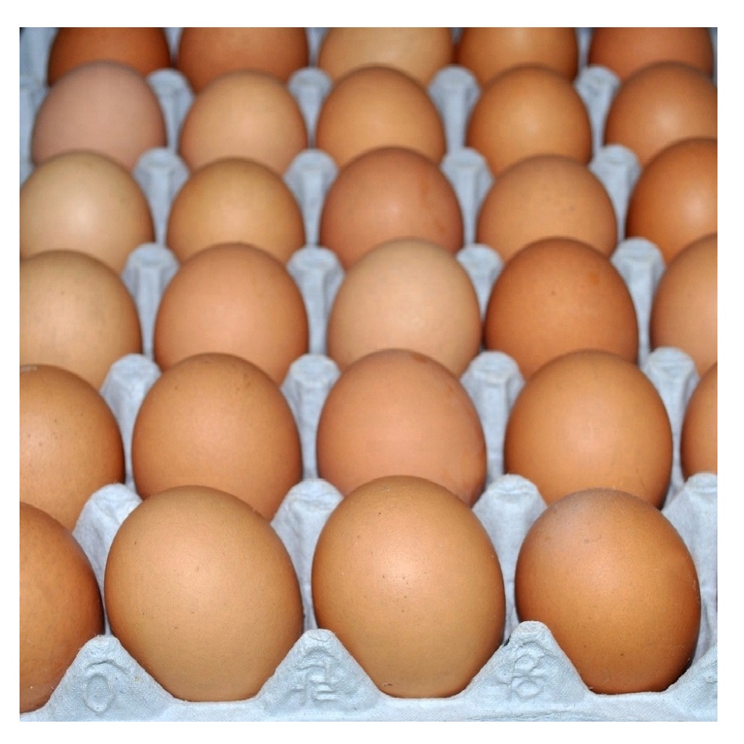 100% натуральный продукт индейки фермы свежие куриные столовые яйца/коричневая и белая скорлупа куриные яйца