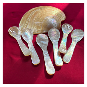 Cuillère en nacre polie, cuillère en coquillage pour servir les épices, le sel, le sucre et accessoires de table élégants, Vietnam - Product Image 4