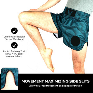 Heavy Duty Plus Size <b>Men</b> Muay Thai <b>Shorts</b> Sublimation Printing Custom Made Muay Thai <b>Shorts</b> - Product Image 5