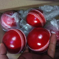 Pelota de Cricket de Cuero Resistente para Pruebas, Partidos ODI y T20, Entrenamiento, Práctica, Rebote, Agarre Fuerte, Costuras Personalizables, Hoserz International